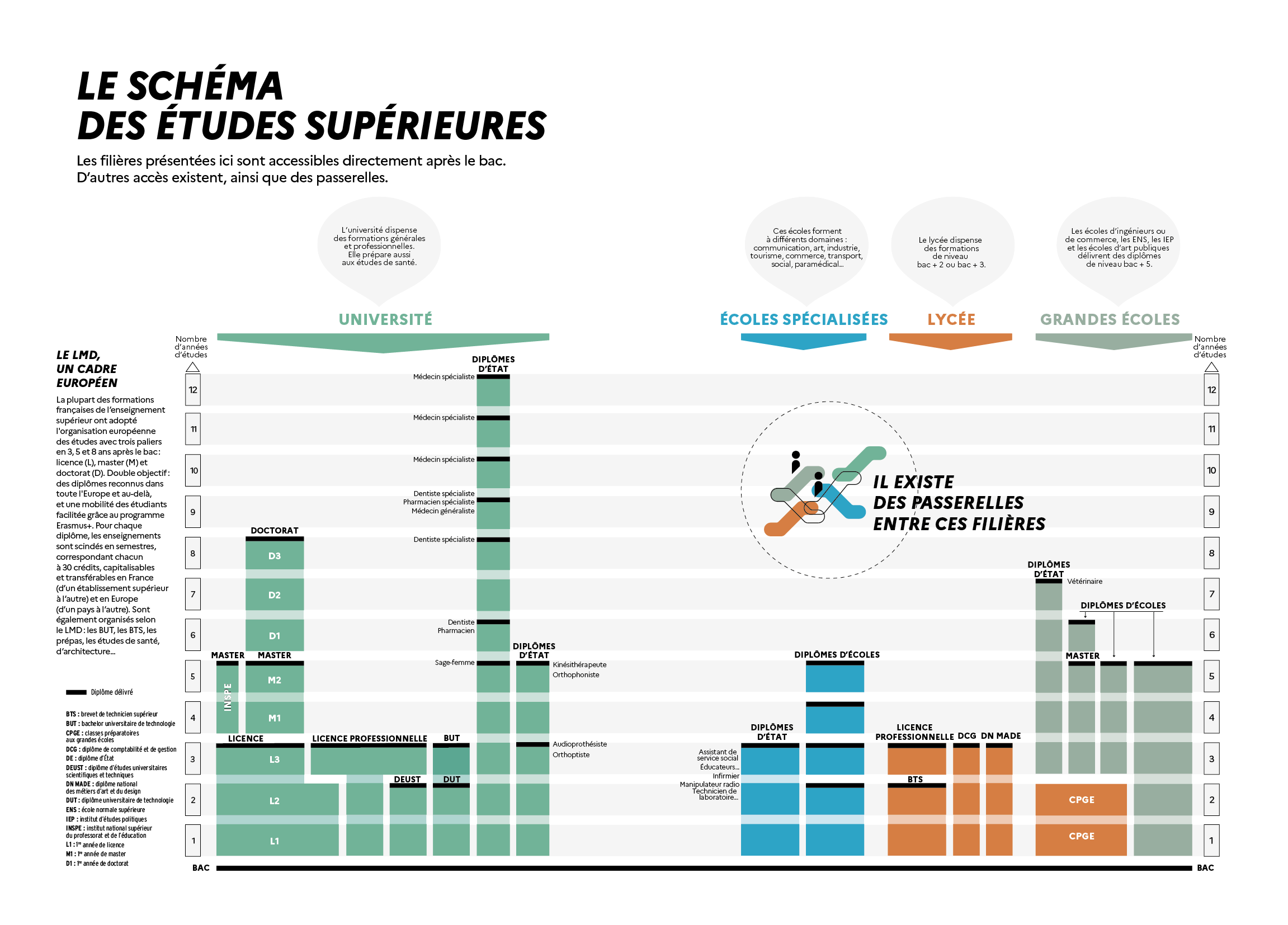 Schéma des études supérieures